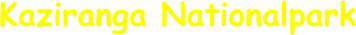 Kaziranga Nationalpark