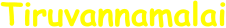 Tiruvannamalai