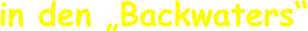 in den „Backwaters“