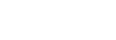 Für 4 Stunden legtdie Annika heute Vormittag in Breisach an. Ein Spaziergang in die Altstadt verschafft uns Bewegung.