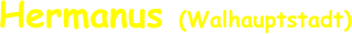 Hermanus (Walhauptstadt)