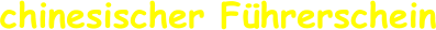 chinesischer Führerschein