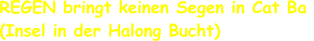 REGEN bringt keinen Segen in Cat Ba  (Insel in der Halong Bucht)